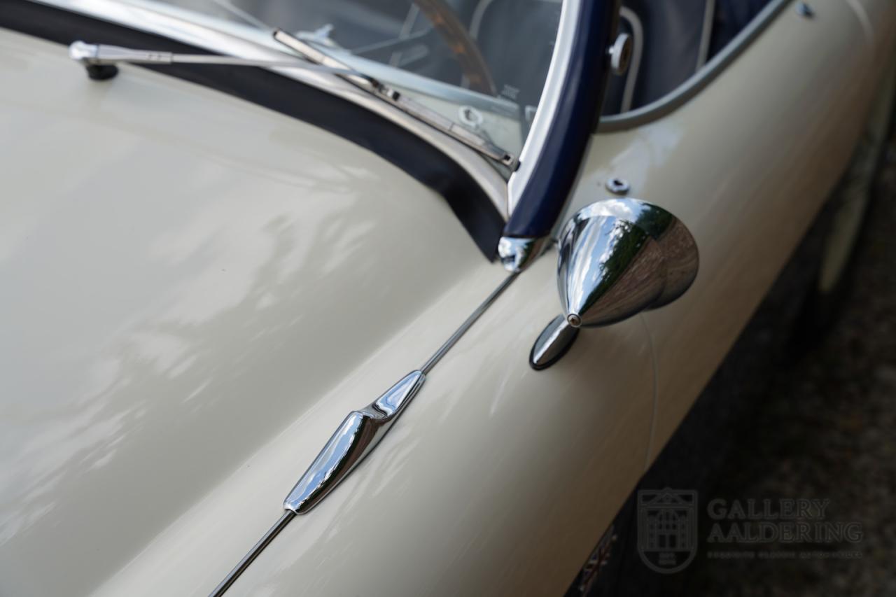 1954 Austin - Healey to 100M Specs &ldquo;Listed in 100M Le Mans Registry&rdquo;