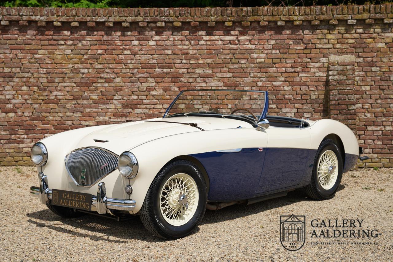 1954 Austin - Healey to 100M Specs &ldquo;Listed in 100M Le Mans Registry&rdquo;