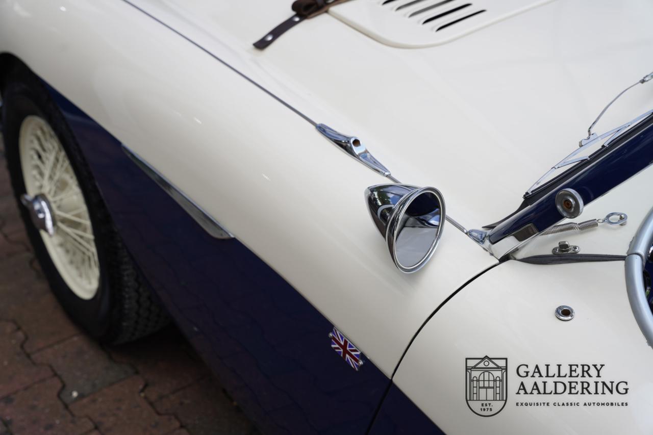 1954 Austin - Healey to 100M Specs &ldquo;Listed in 100M Le Mans Registry&rdquo;