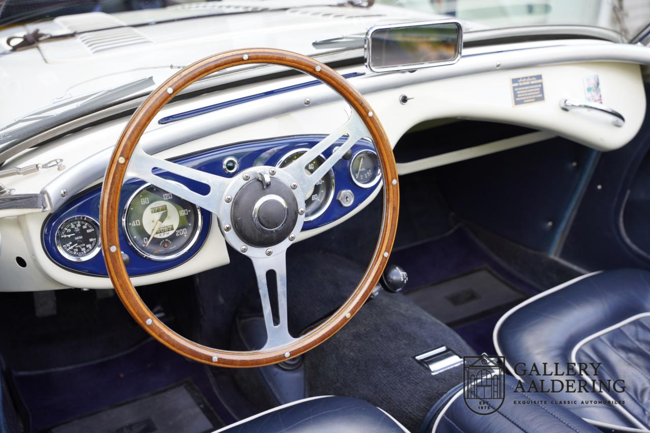 1954 Austin - Healey to 100M Specs &ldquo;Listed in 100M Le Mans Registry&rdquo;