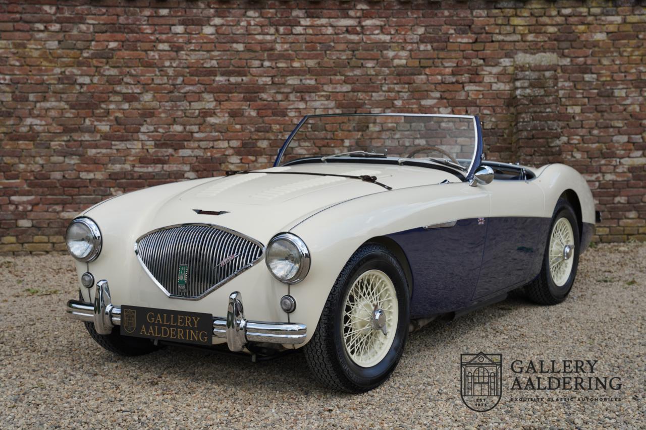 1954 Austin - Healey to 100M Specs &ldquo;Listed in 100M Le Mans Registry&rdquo;