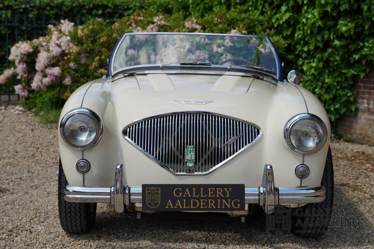 1954 Austin - Healey to 100M Specs &ldquo;Listed in 100M Le Mans Registry&rdquo;