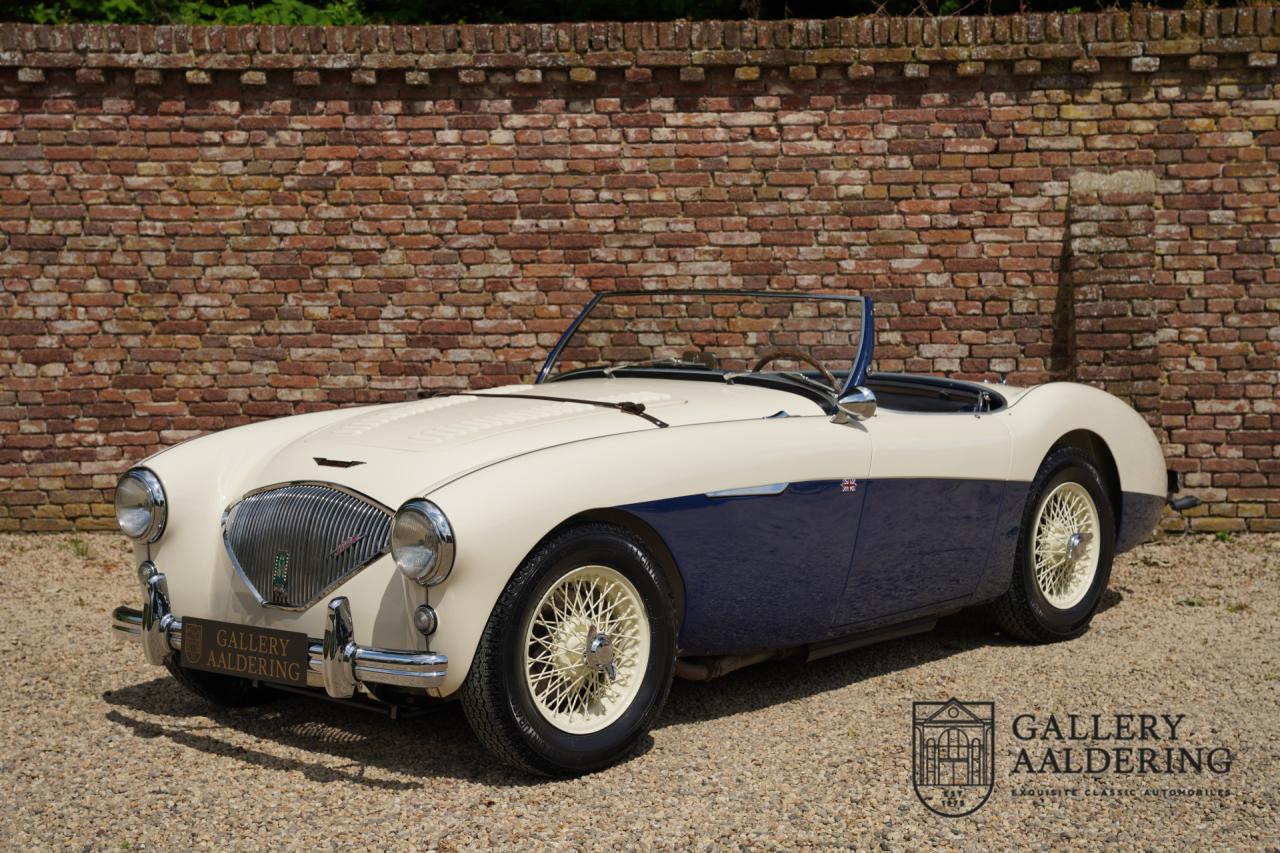 1954 Austin - Healey to 100M Specs &ldquo;Listed in 100M Le Mans Registry&rdquo;