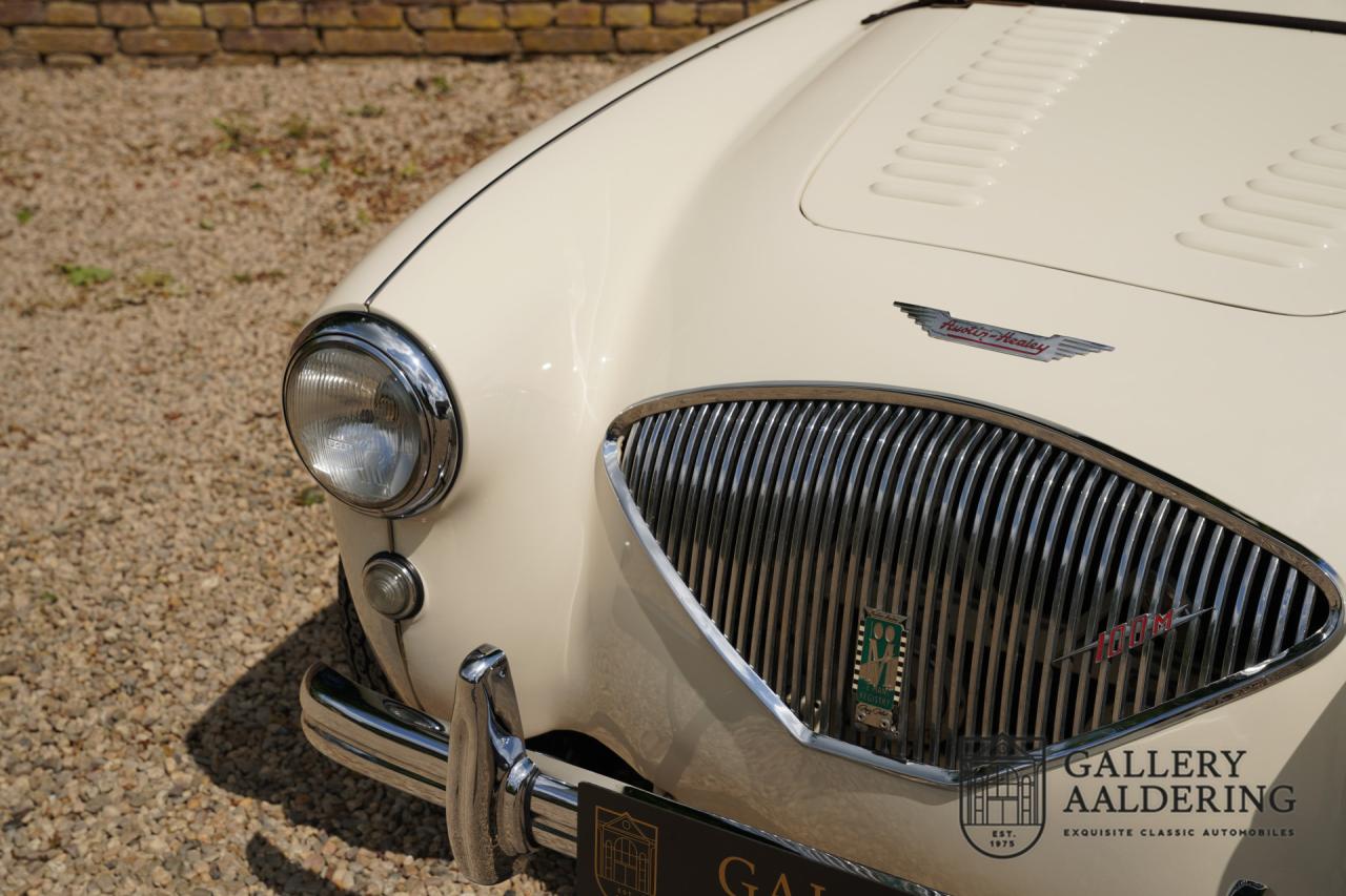 1954 Austin - Healey to 100M Specs &ldquo;Listed in 100M Le Mans Registry&rdquo;