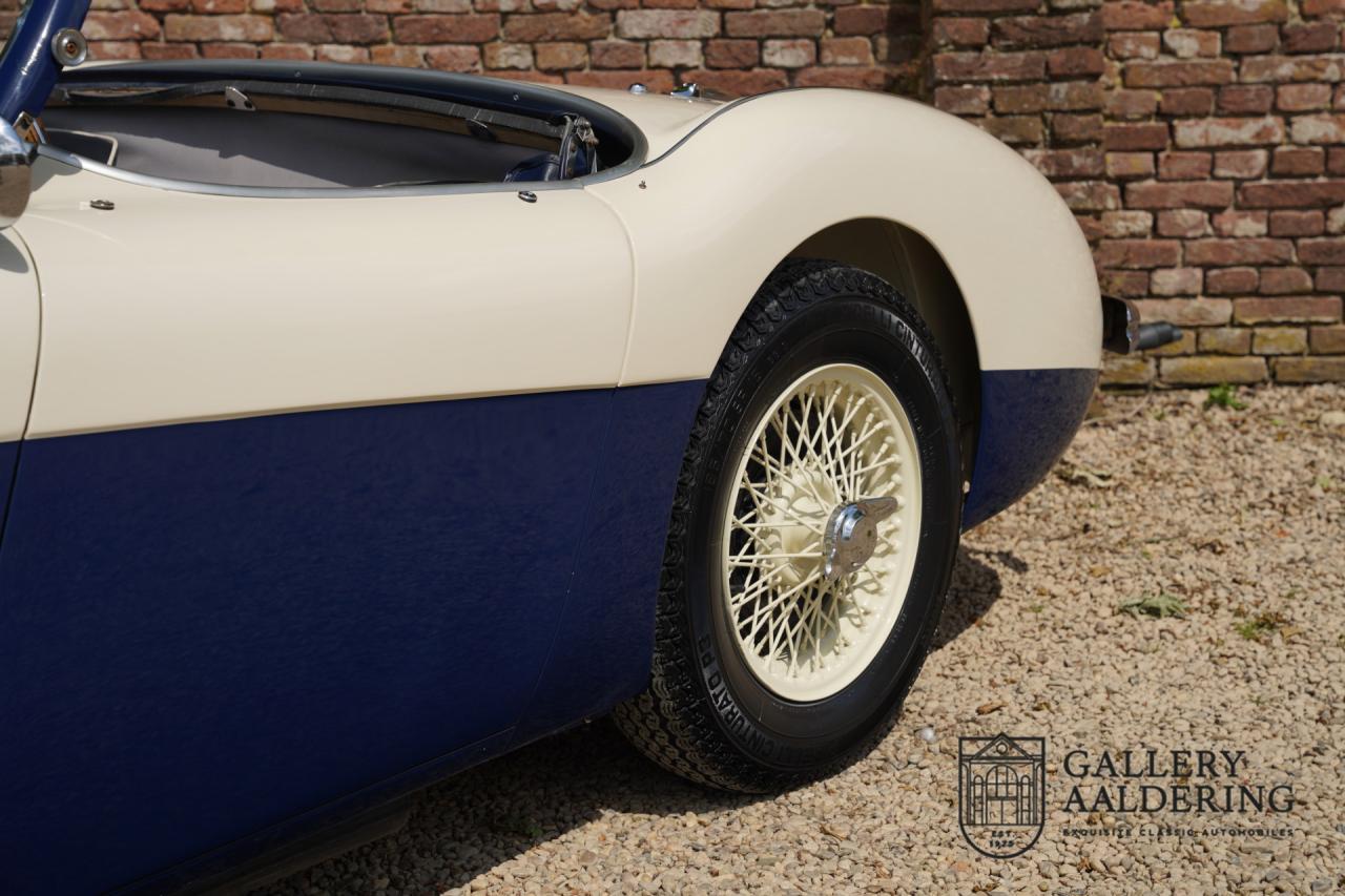 1954 Austin - Healey to 100M Specs &ldquo;Listed in 100M Le Mans Registry&rdquo;