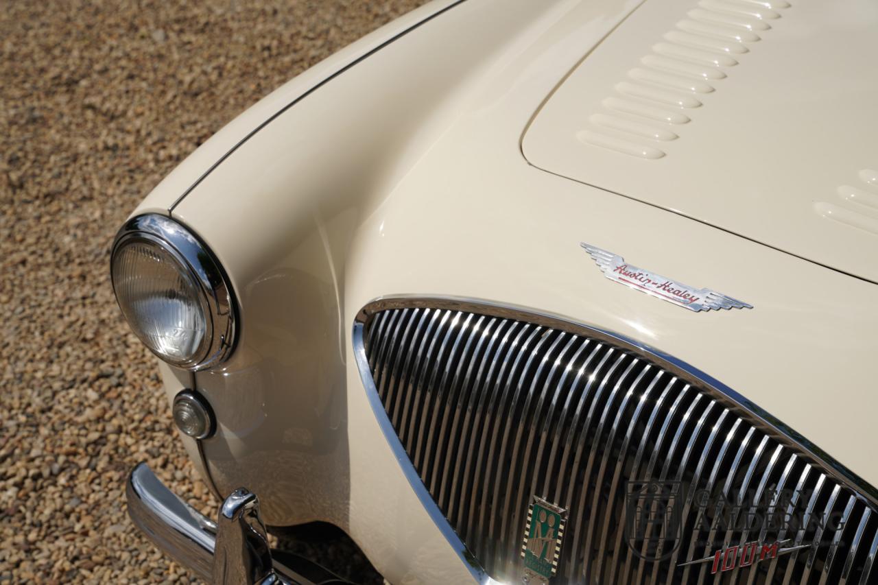1954 Austin - Healey to 100M Specs &ldquo;Listed in 100M Le Mans Registry&rdquo;