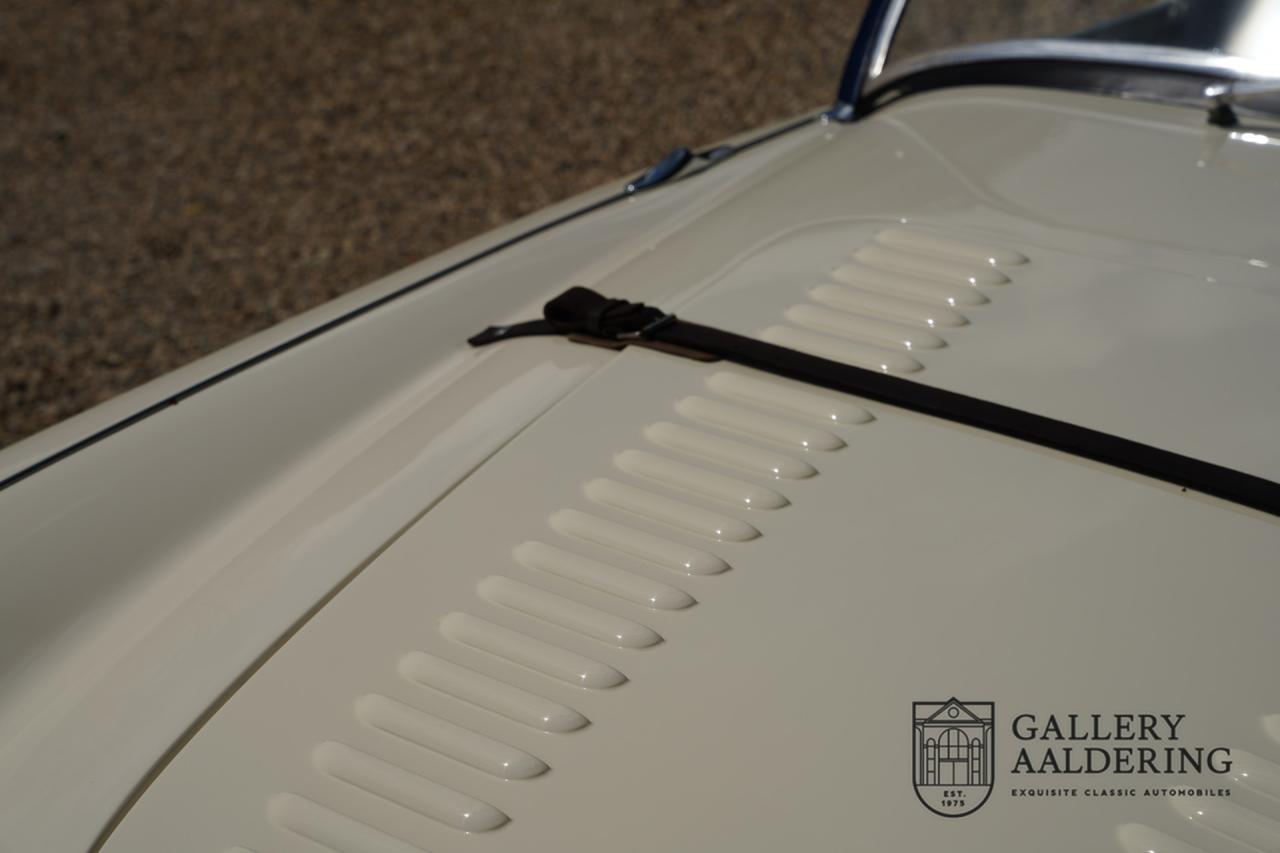 1954 Austin - Healey to 100M Specs &ldquo;Listed in 100M Le Mans Registry&rdquo;