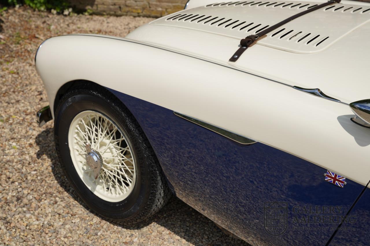 1954 Austin - Healey to 100M Specs &ldquo;Listed in 100M Le Mans Registry&rdquo;
