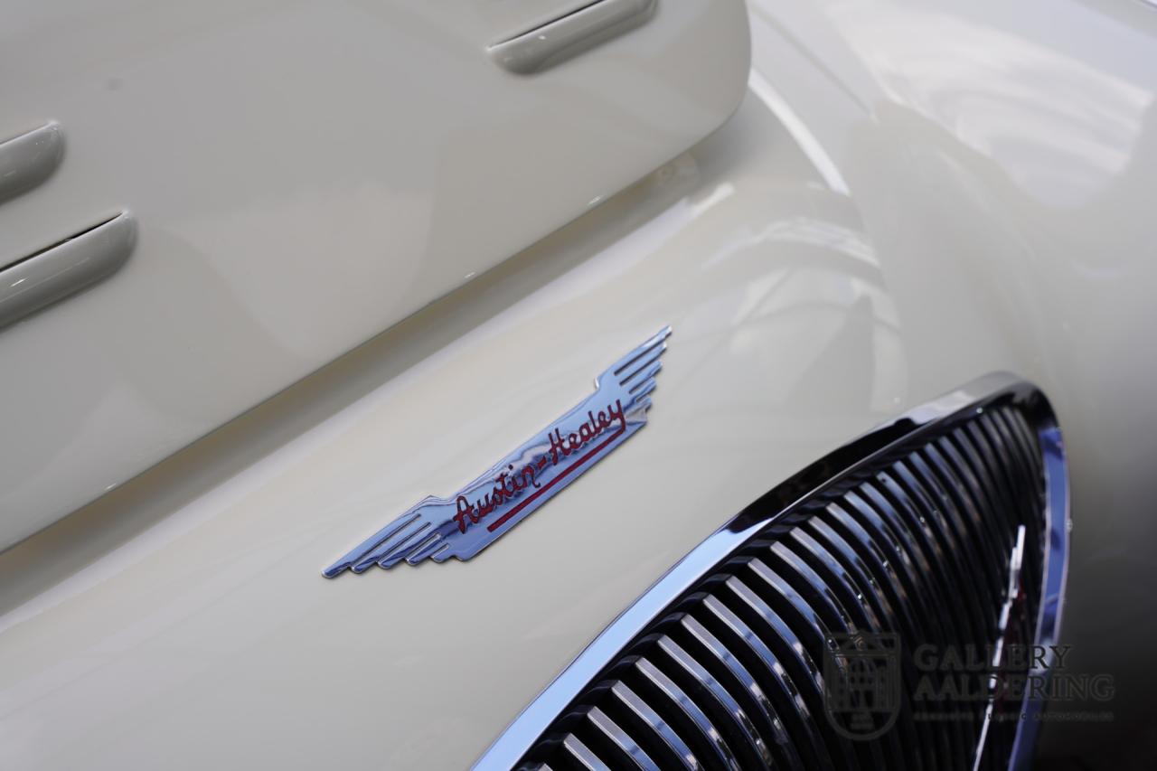 1954 Austin - Healey to 100M Specs &ldquo;Listed in 100M Le Mans Registry&rdquo;