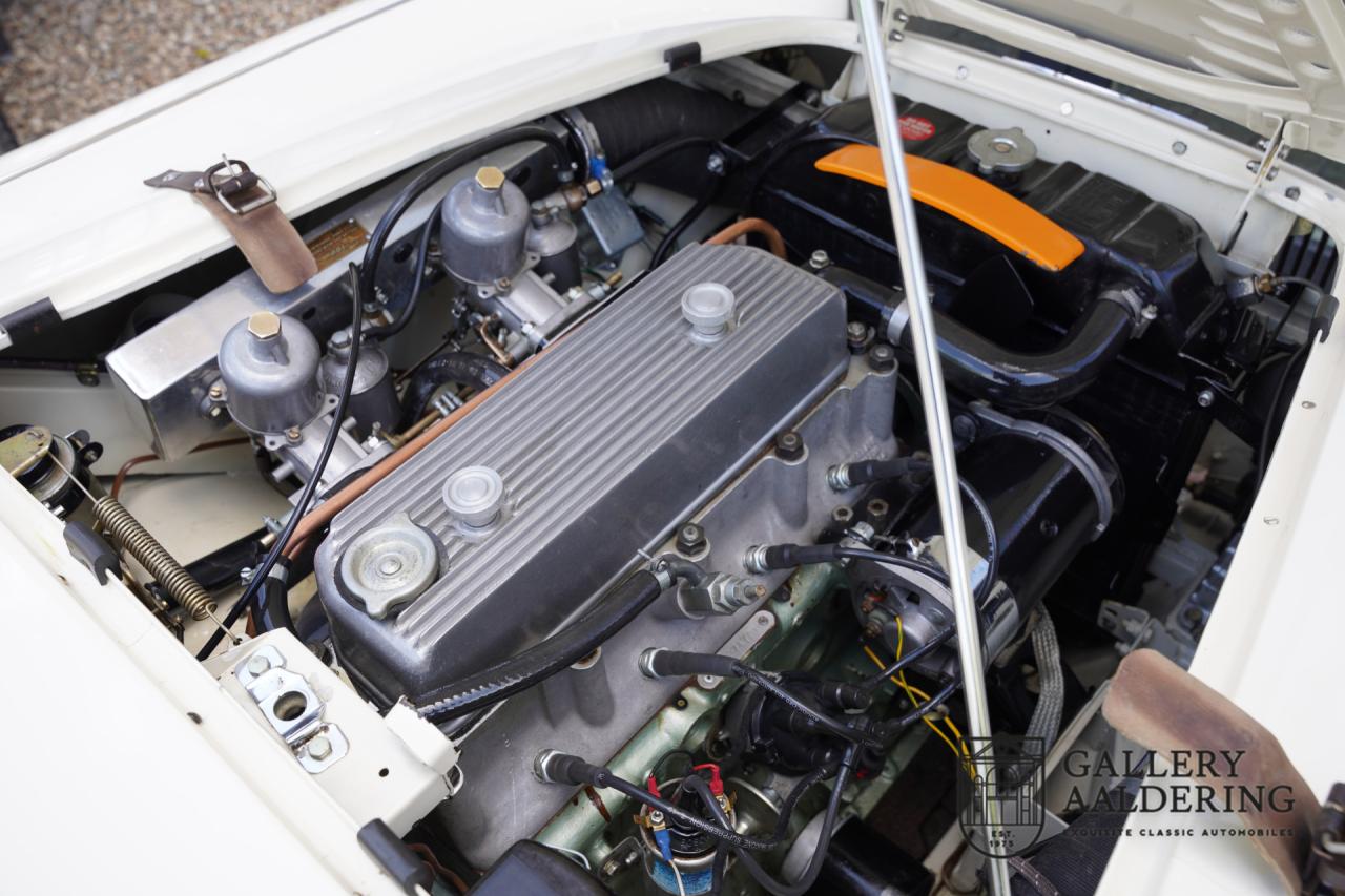 1954 Austin - Healey to 100M Specs &ldquo;Listed in 100M Le Mans Registry&rdquo;