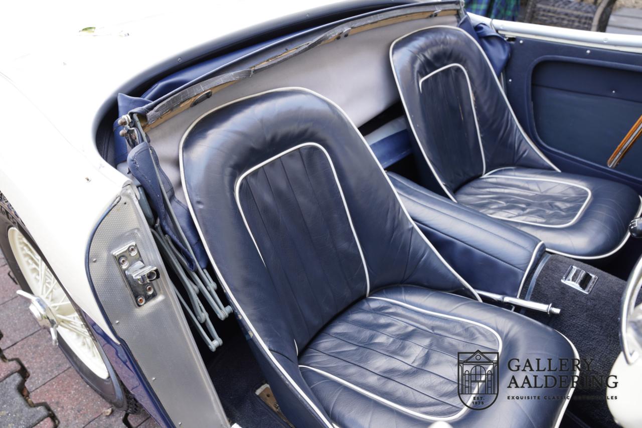 1954 Austin - Healey to 100M Specs &ldquo;Listed in 100M Le Mans Registry&rdquo;