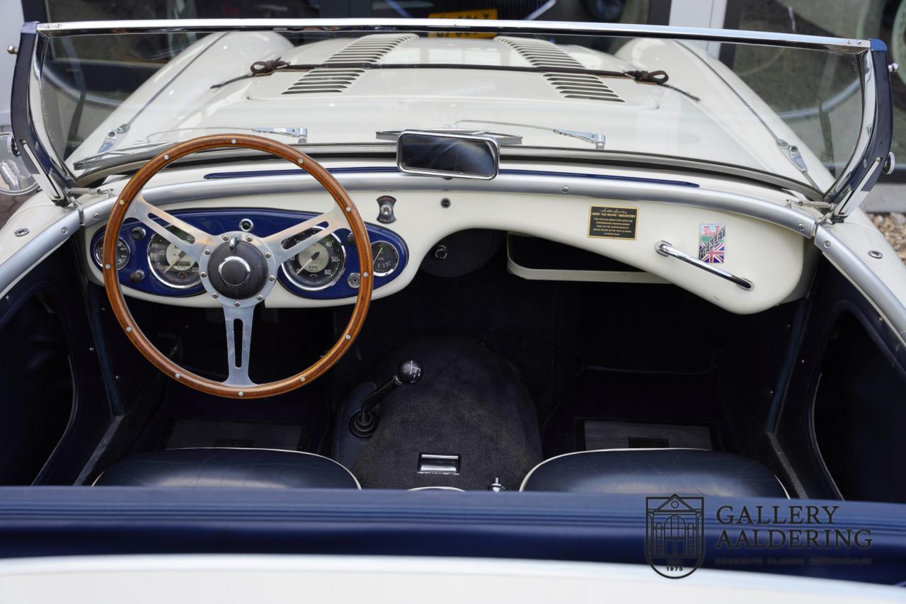 1954 Austin - Healey to 100M Specs &ldquo;Listed in 100M Le Mans Registry&rdquo;