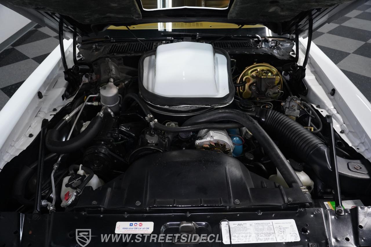 1979 Pontiac Firebird Trans Am
