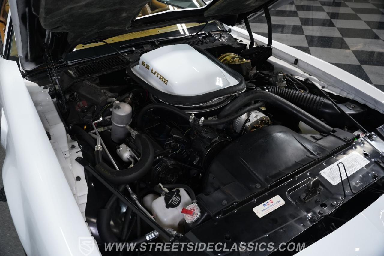 1979 Pontiac Firebird Trans Am