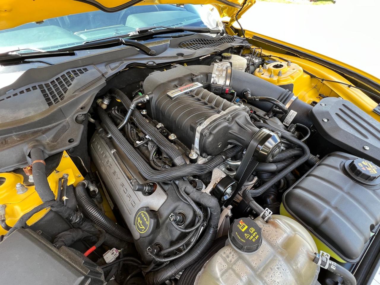 2016 Ford Mustang GT w/ Roush