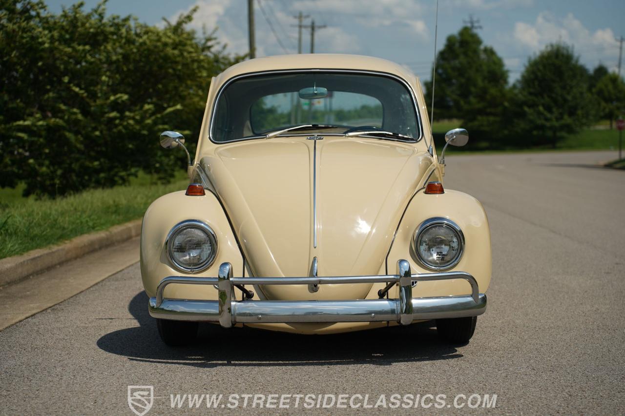 1967 Volkswagen Beetle