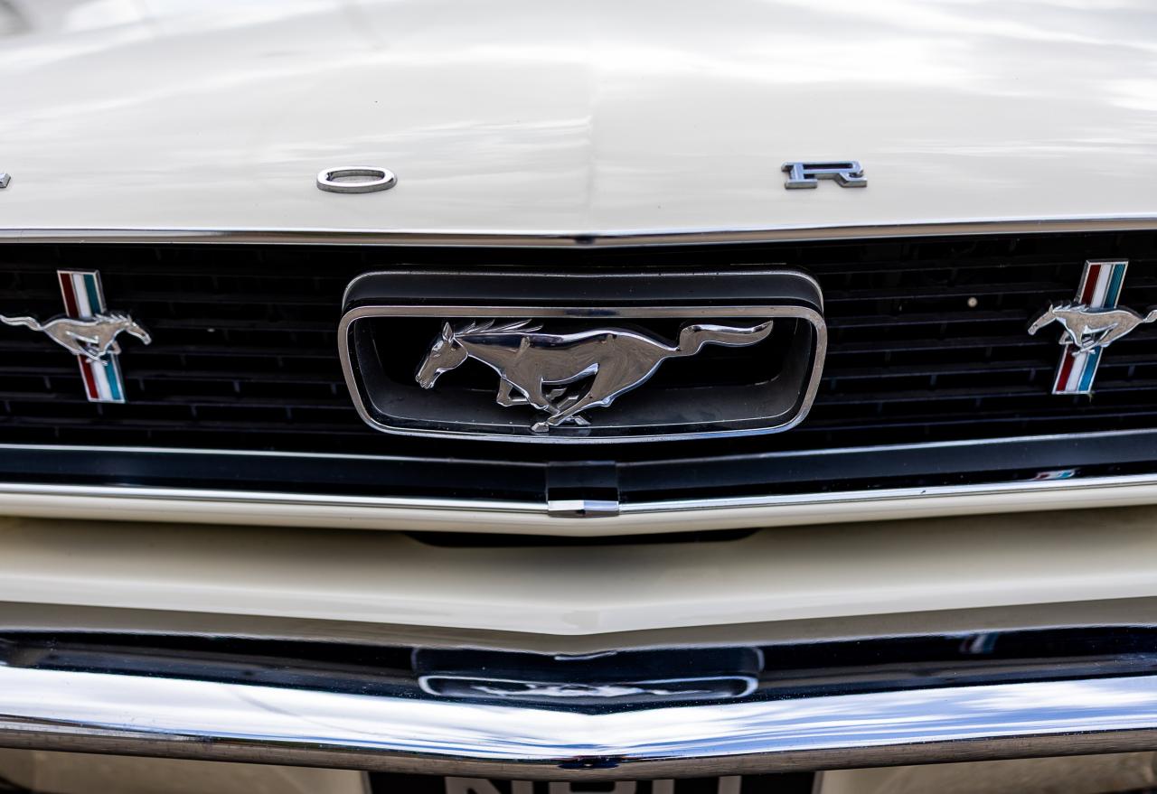 1966 Ford Mustang