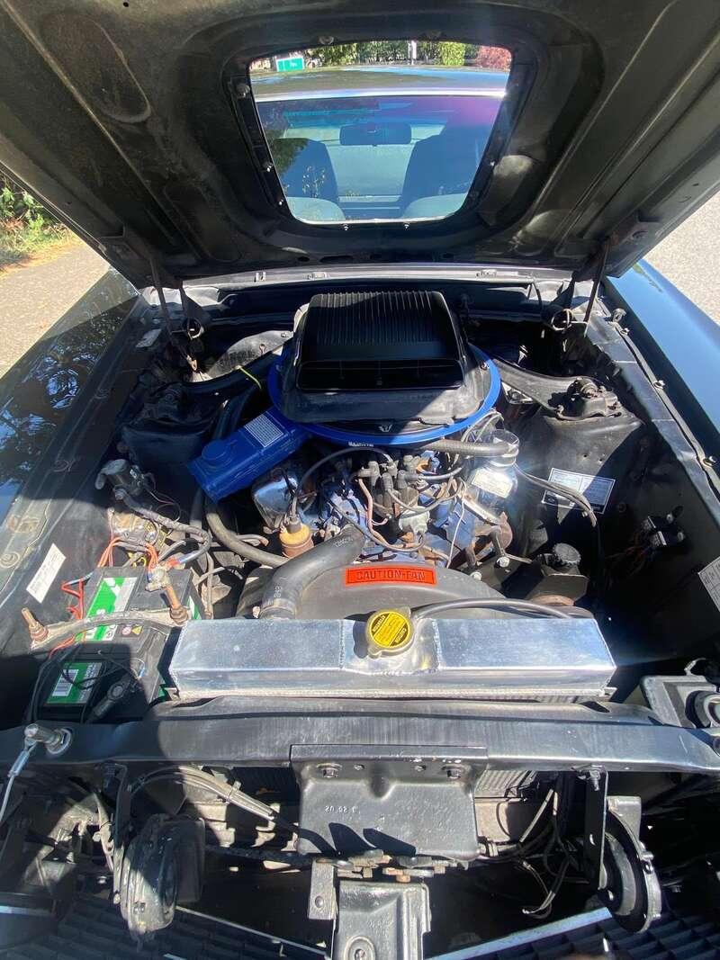 1969 Ford Mustang