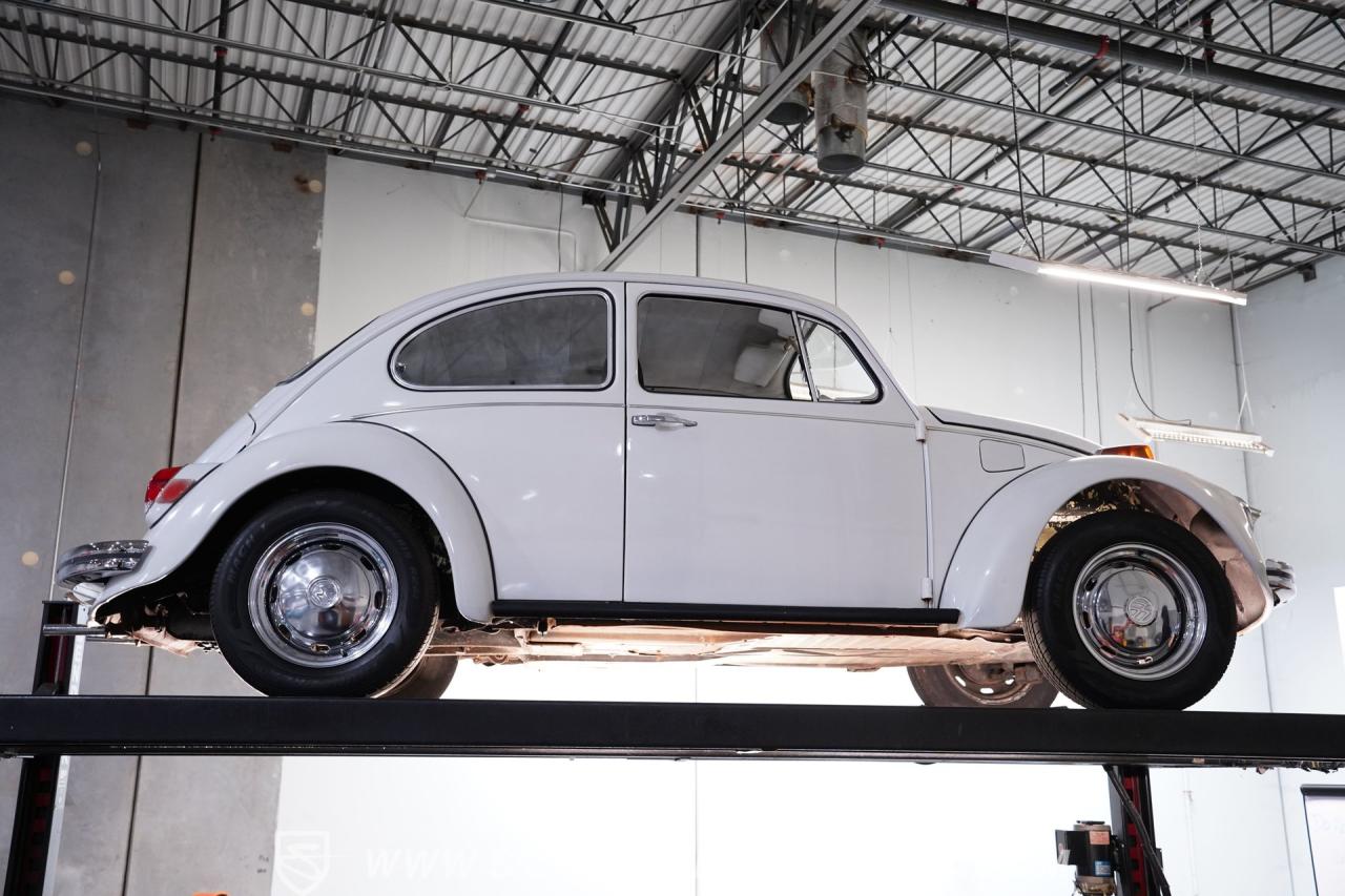 1969 Volkswagen Beetle