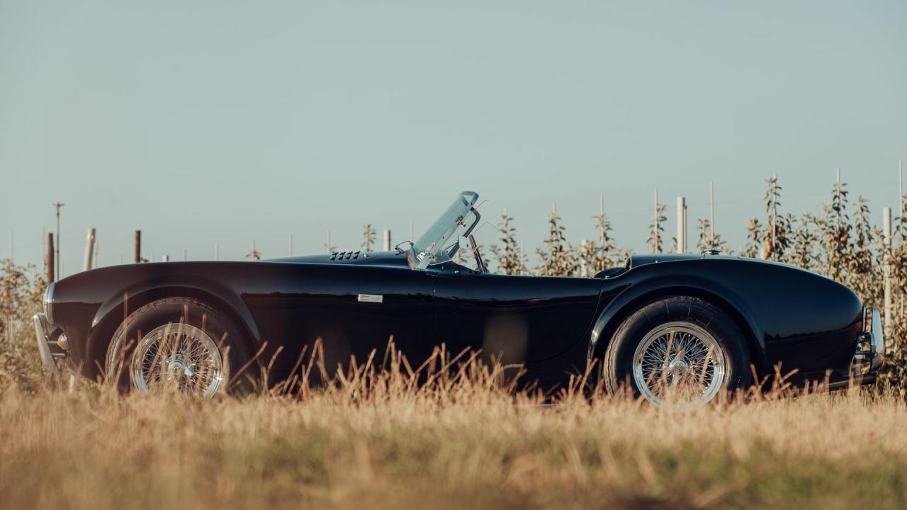 1963 Shelby 260 Cobra