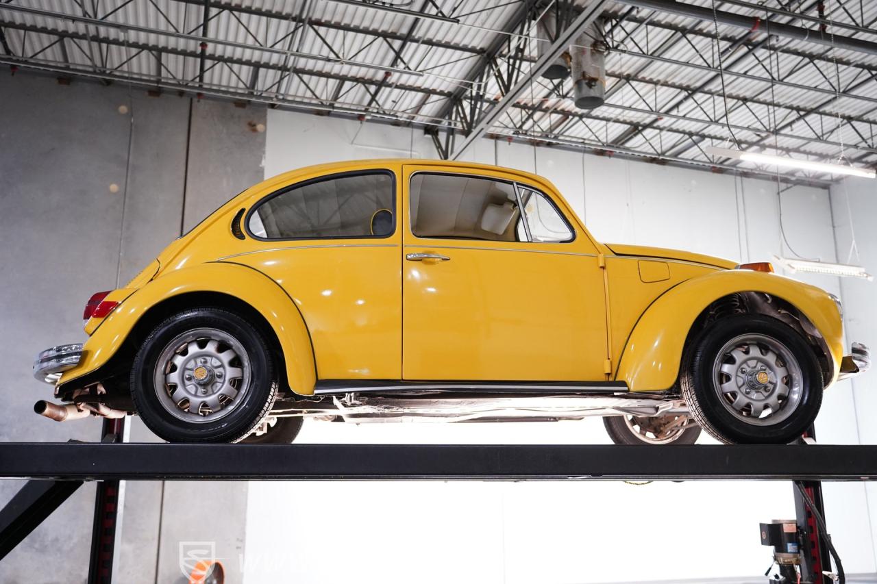 1972 Volkswagen Beetle