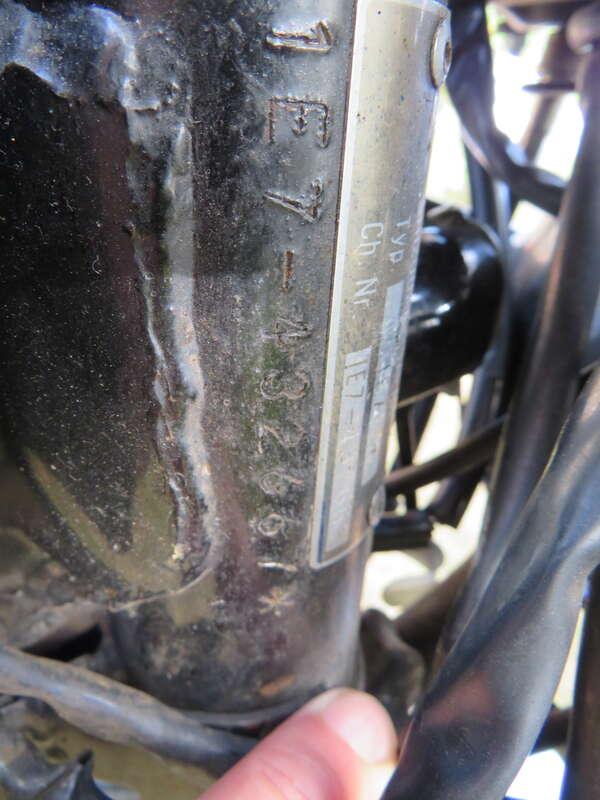1981 Yamaha RD125DX