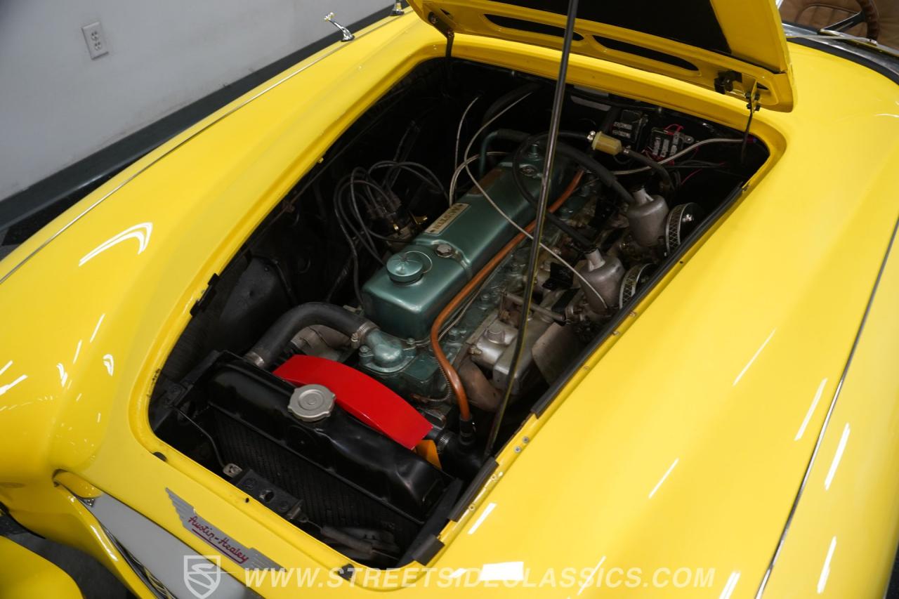 1956 Austin - Healey 100-6