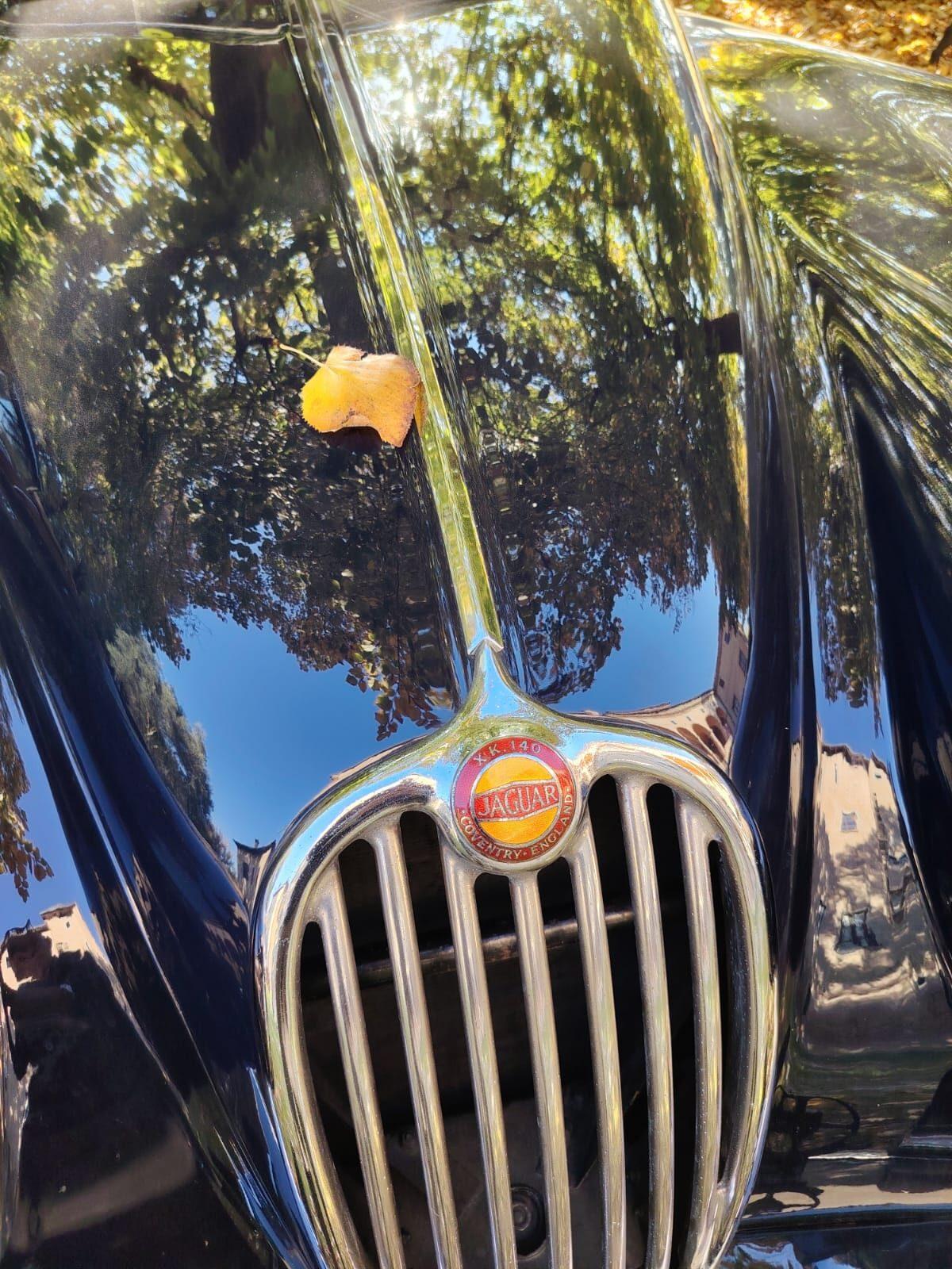 1956 Jaguar XK 140 fhc 1956