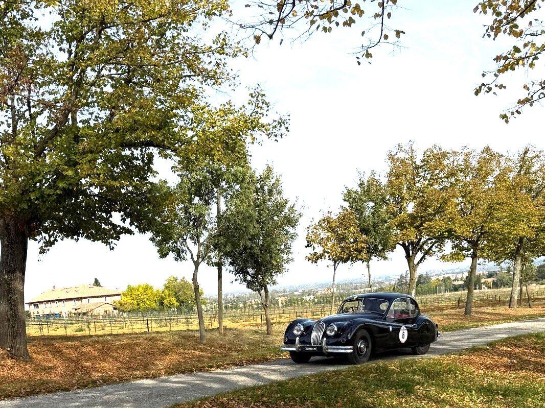 1956 Jaguar XK 140 fhc 1956