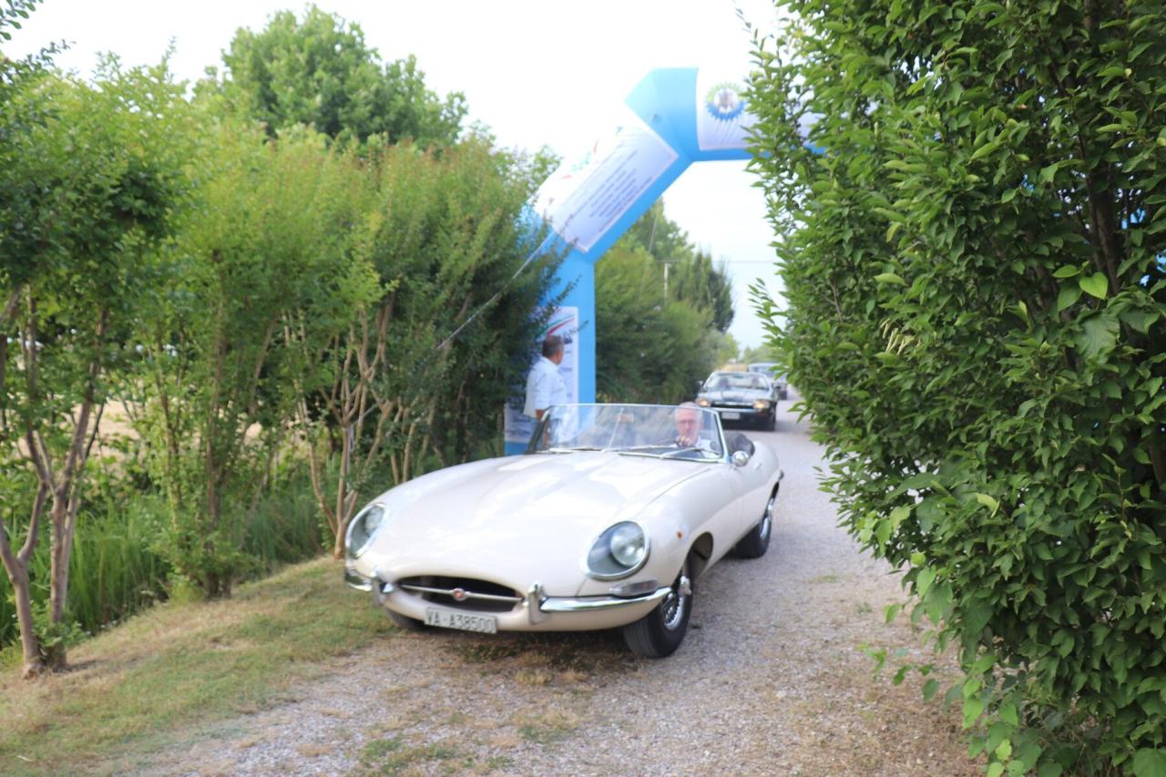 1965 Jaguar E TYPE 4.2 ROADSTER S1 1965