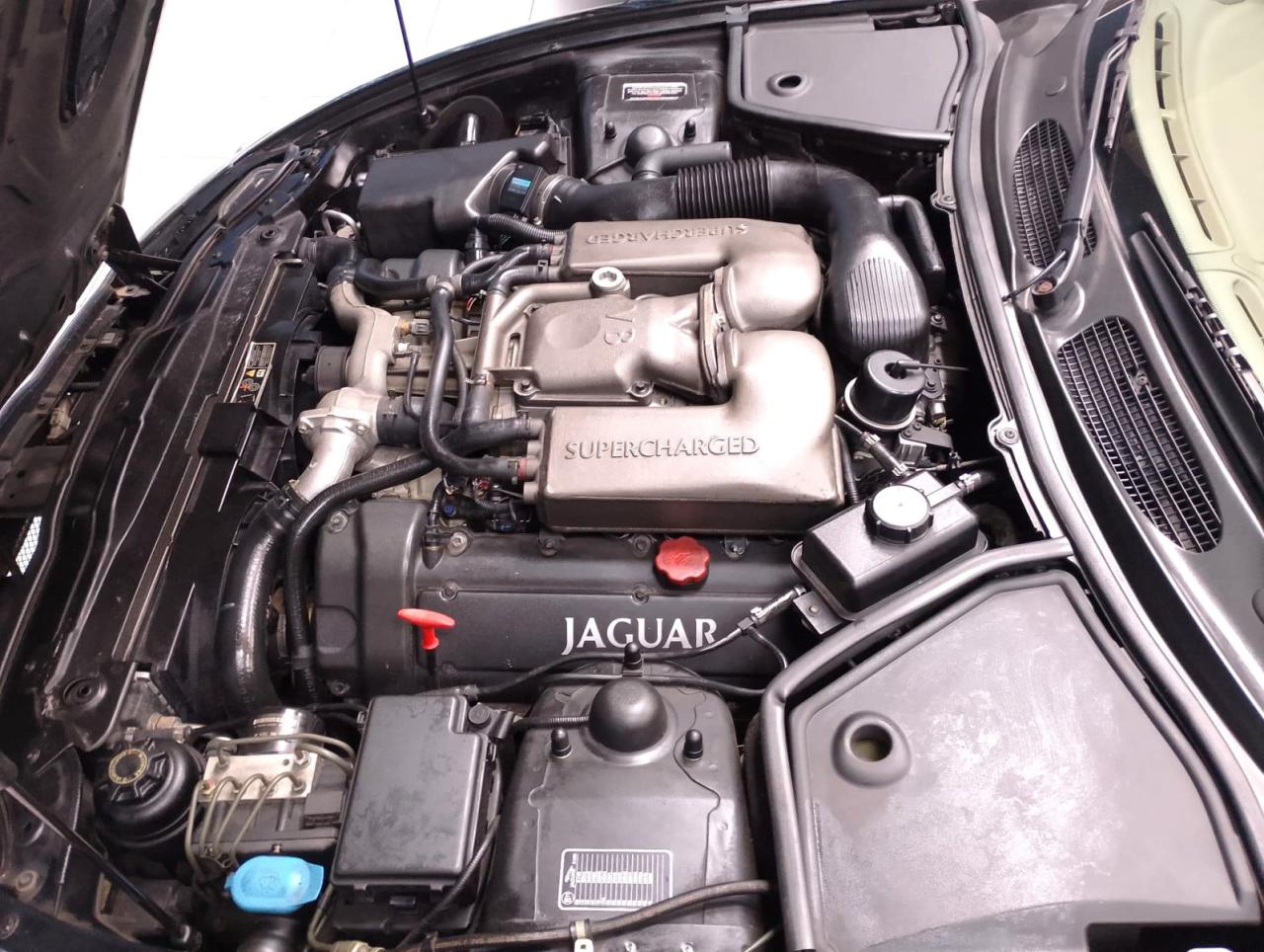 1998 Jaguar XK R COUPE 1998