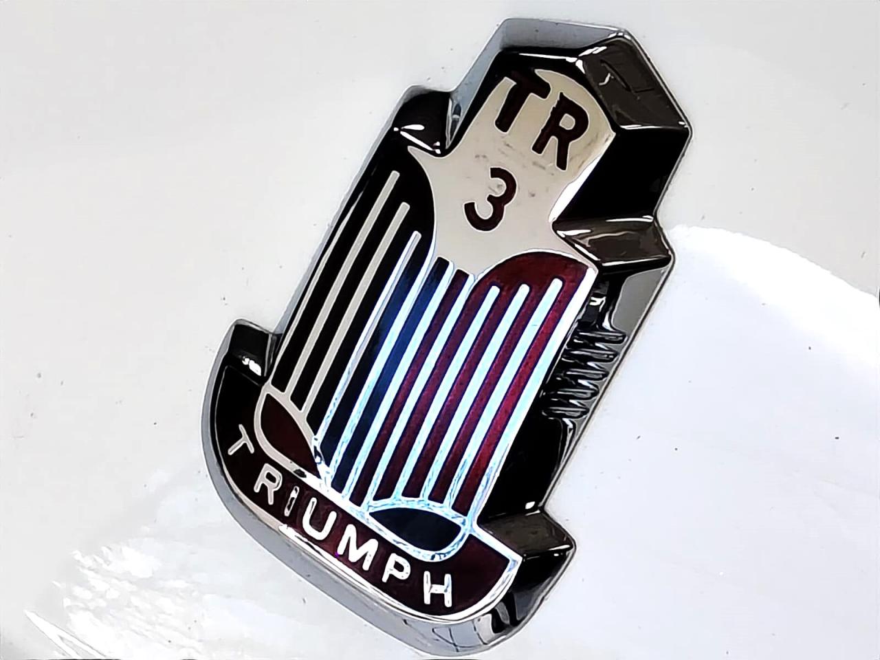 1955 Triumph TR3 SPORT 1955 1000 MIGLIA ELIGIBLE