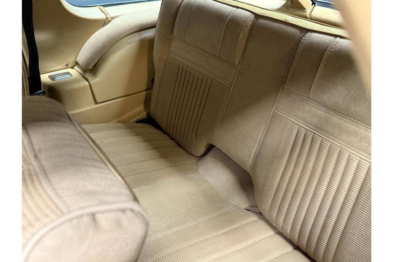 1982 AMC Pacer Hatchback 4.2 &ldquo;One private owner - 82.000 kms&rdquo;