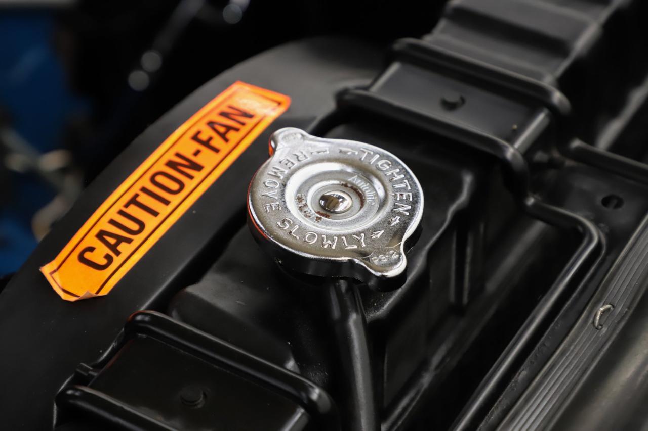 1970 Ford Mustang Mach 1