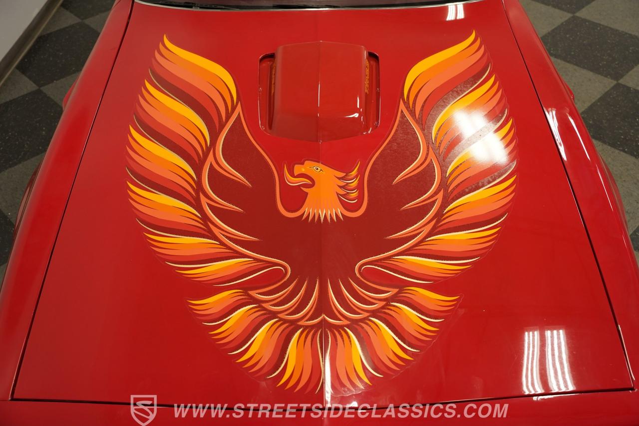 1979 Pontiac Firebird Trans Am Tribute