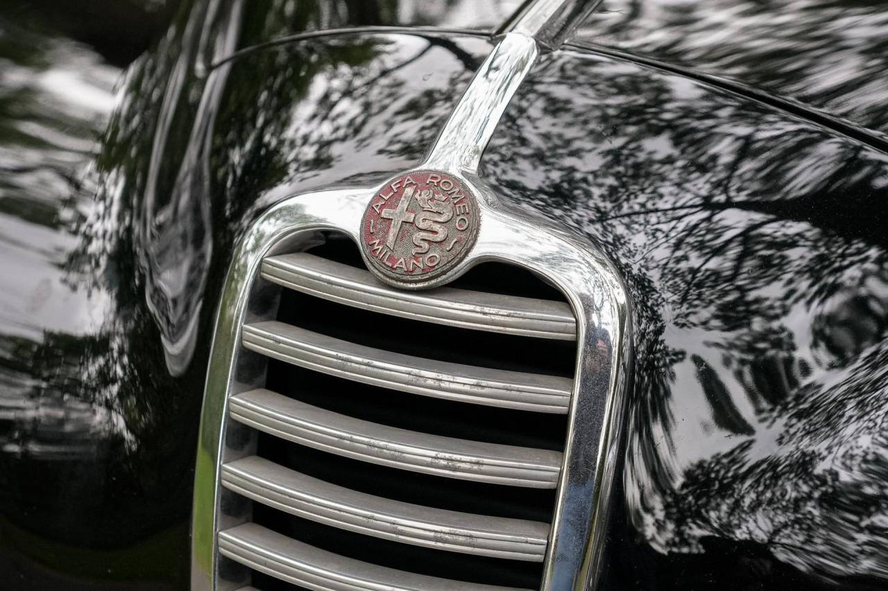 1949 Alfa Romeo 6C 2500 SS Pininfarina