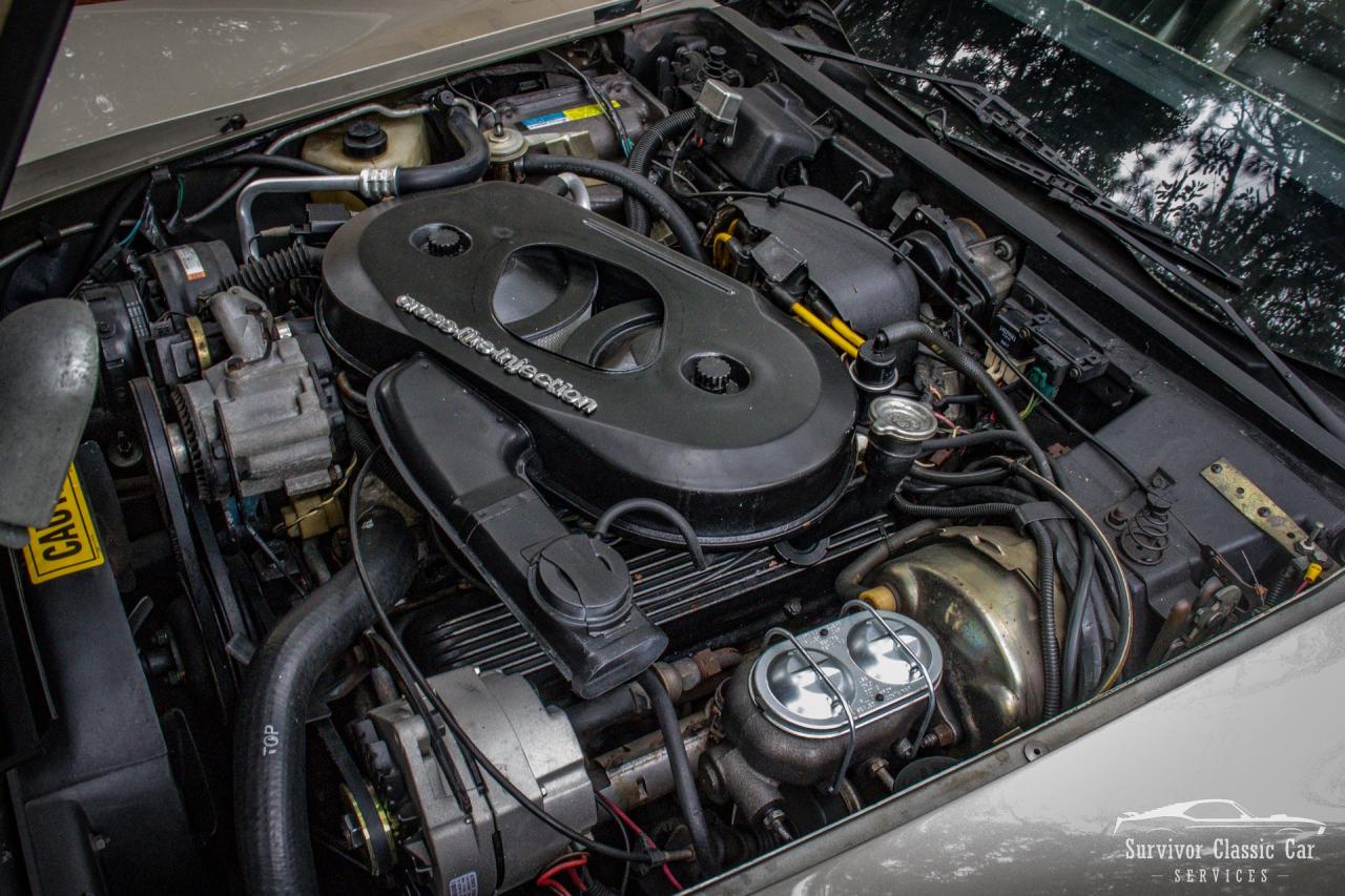 1982 Chevrolet Corvette Collector Edition
