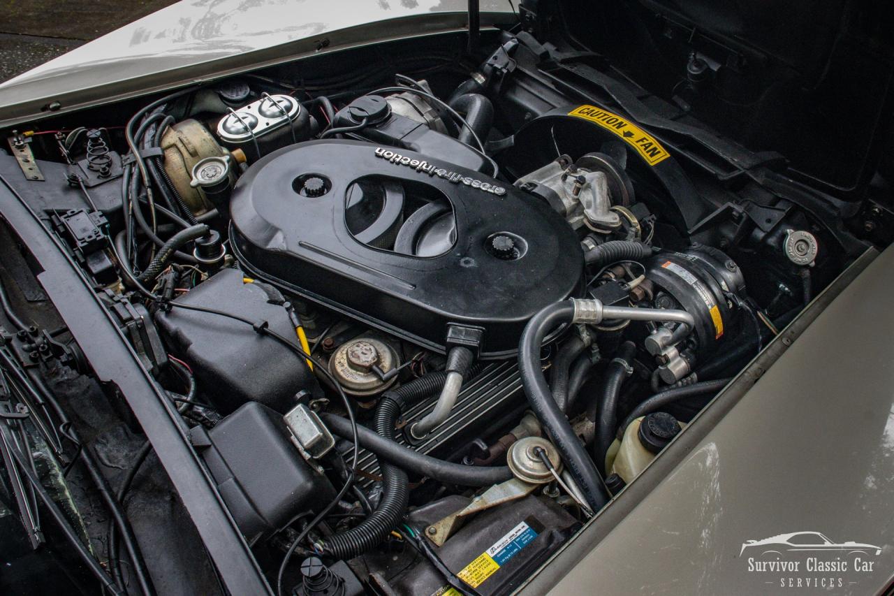 1982 Chevrolet Corvette Collector Edition