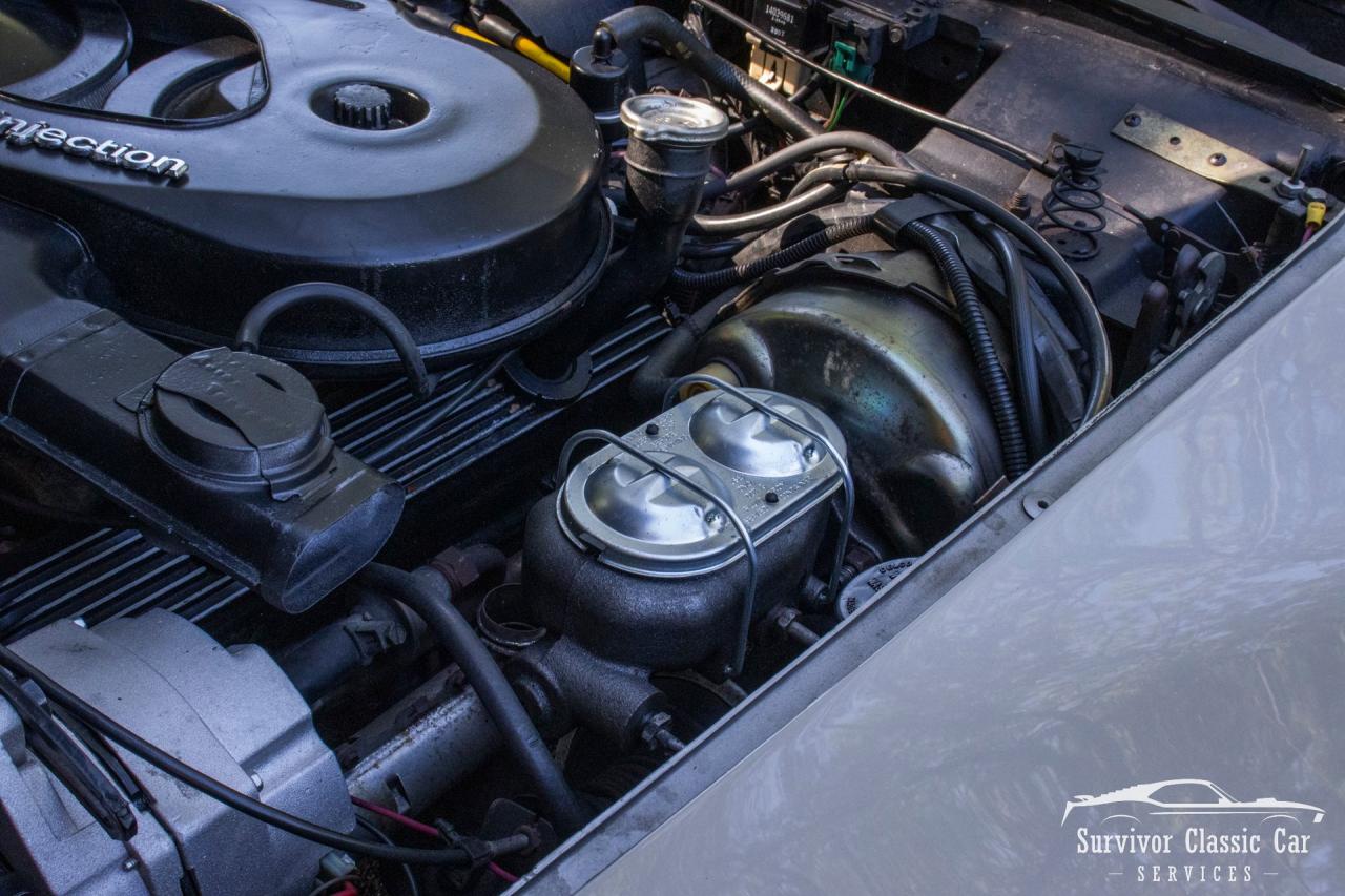 1982 Chevrolet Corvette Collector Edition