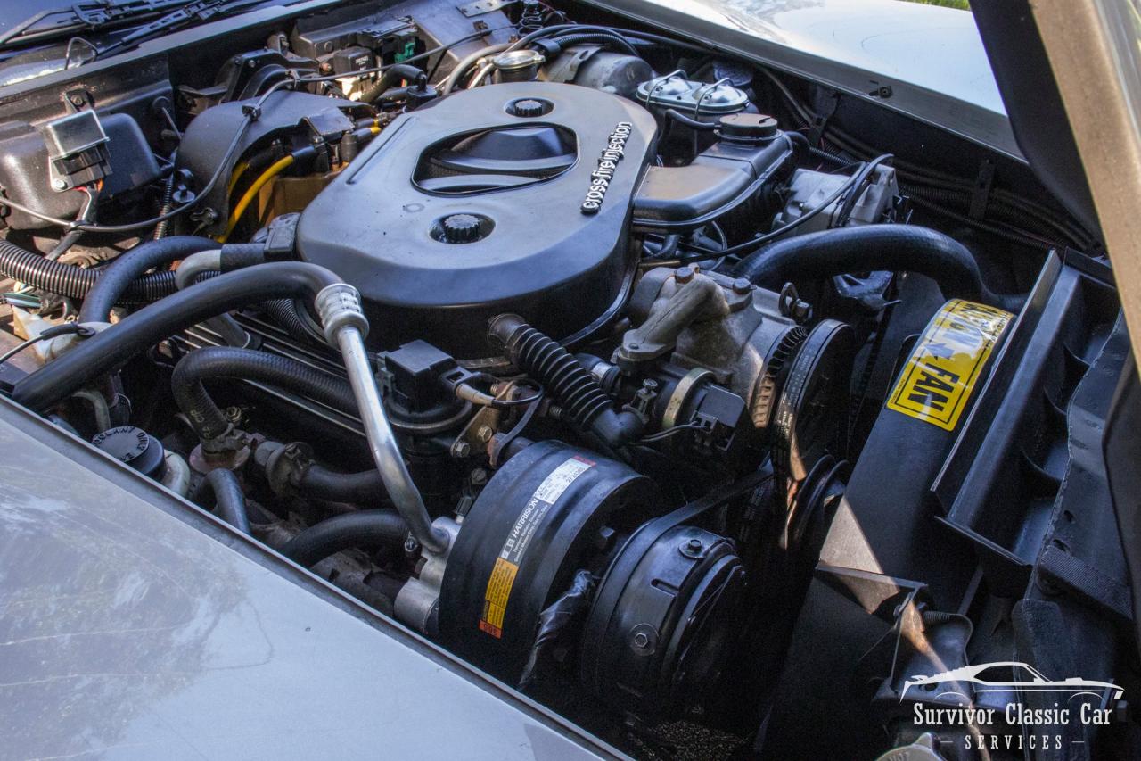 1982 Chevrolet Corvette Collector Edition