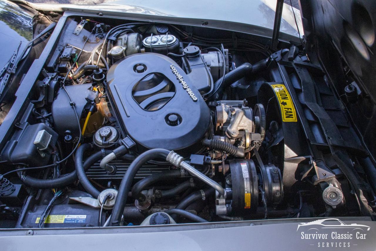 1982 Chevrolet Corvette Collector Edition