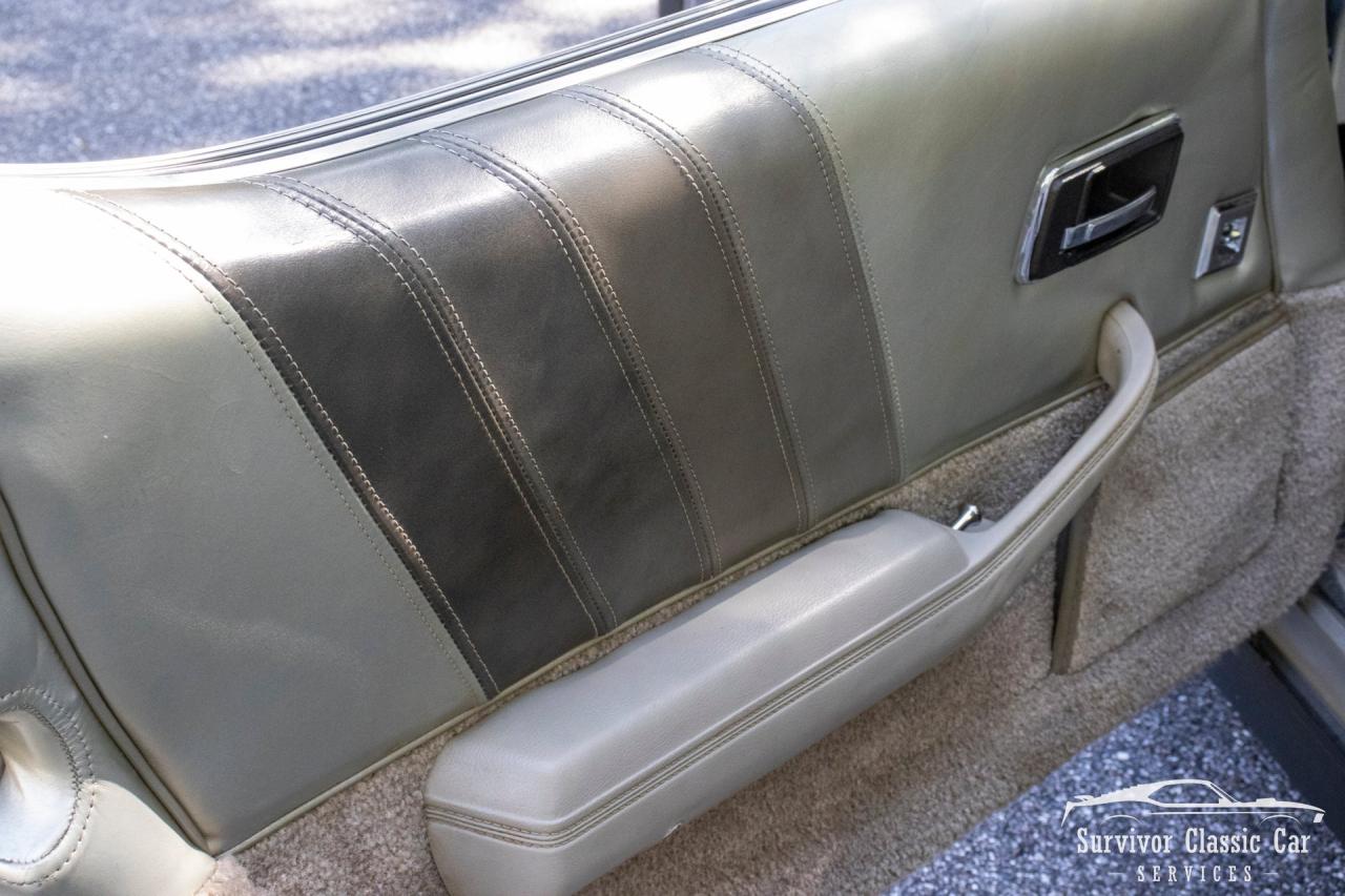 1982 Chevrolet Corvette Collector Edition
