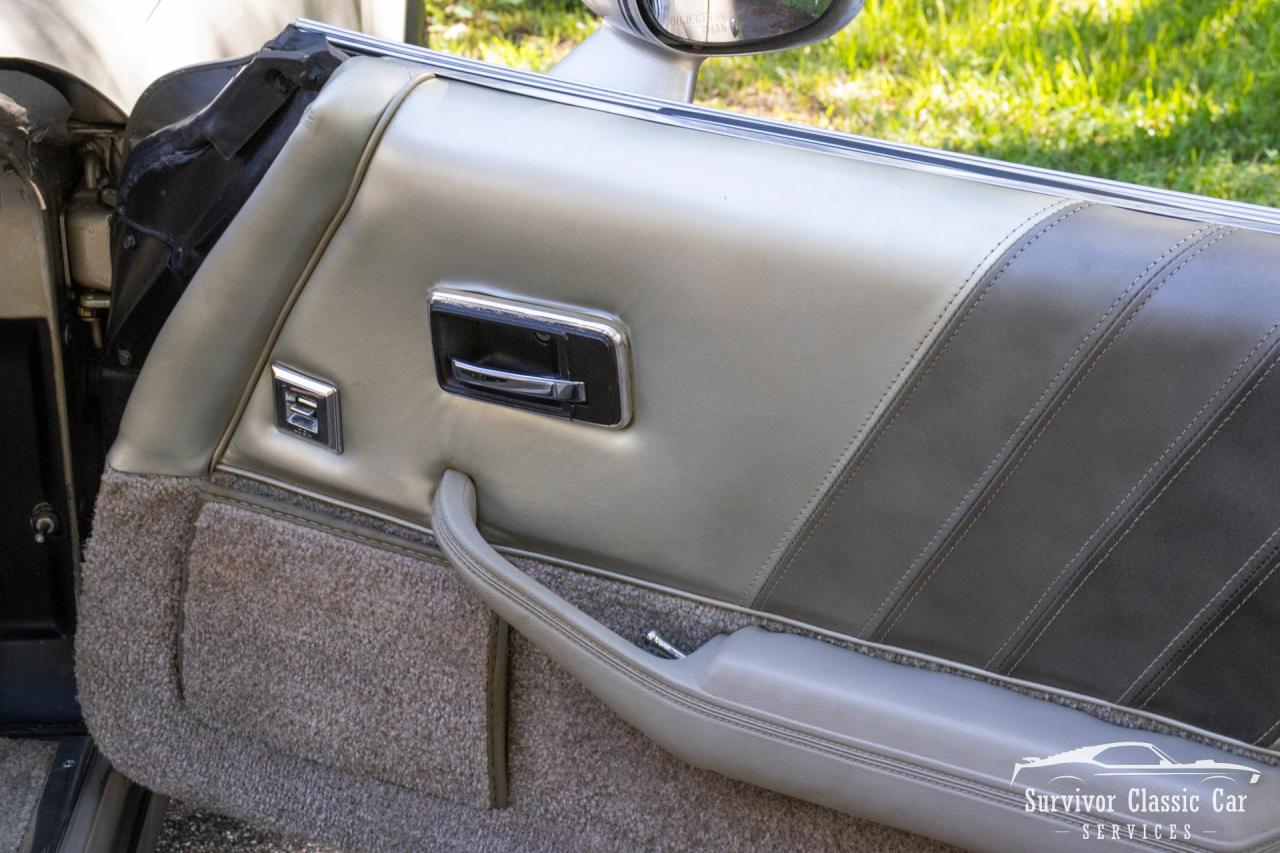 1982 Chevrolet Corvette Collector Edition