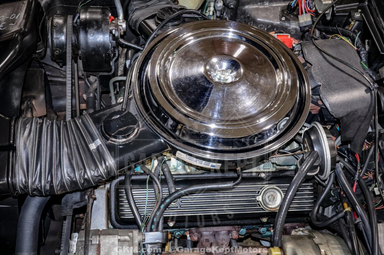 1981 Chevrolet Corvette