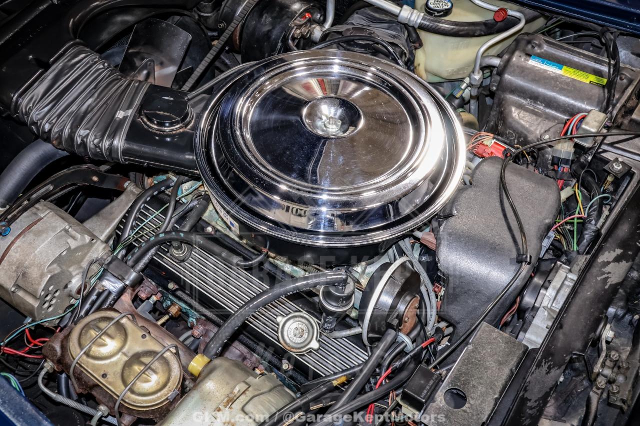 1981 Chevrolet Corvette