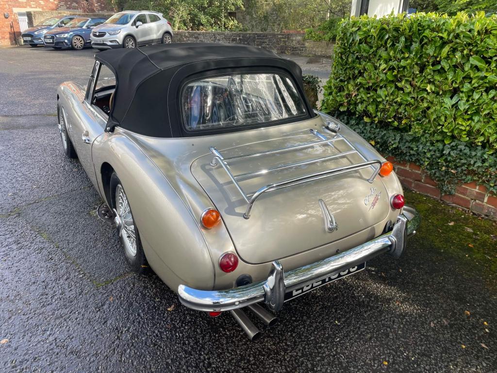1965 Austin - Healey 3000