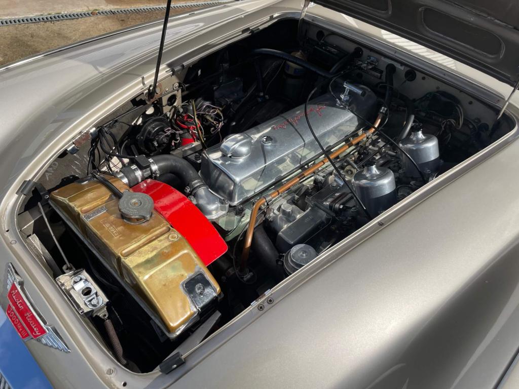 1965 Austin - Healey 3000
