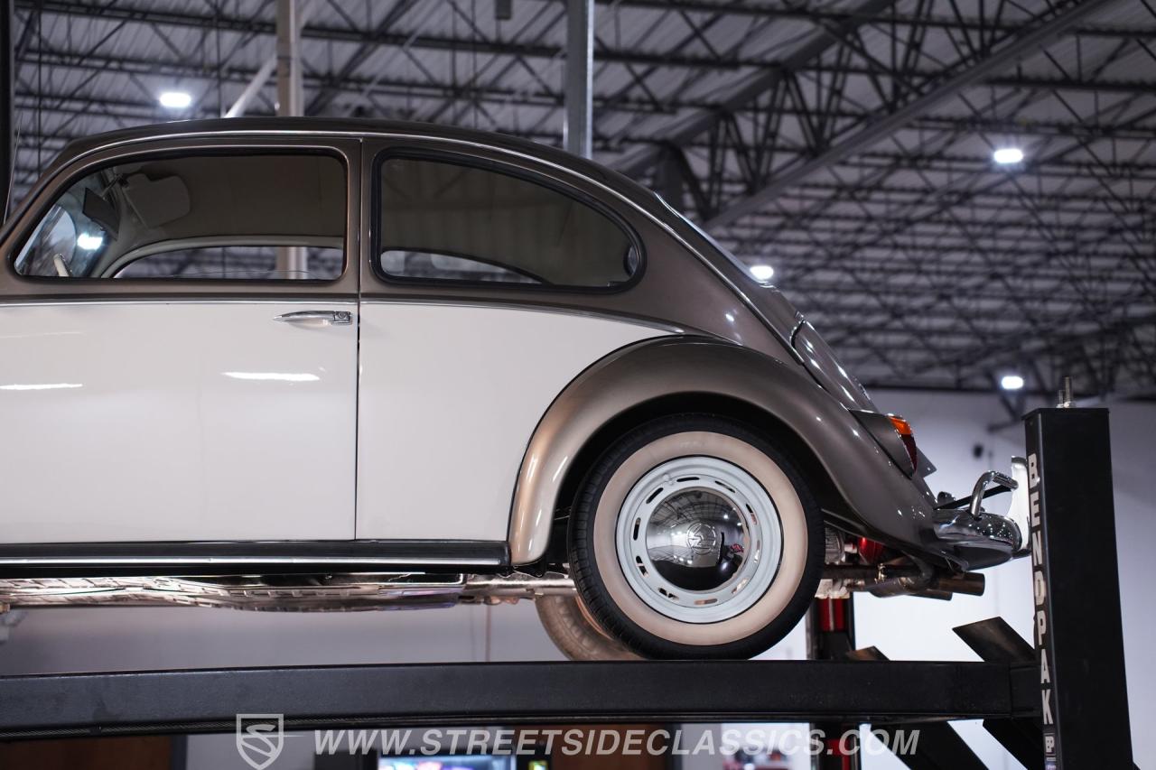 1966 Volkswagen Beetle