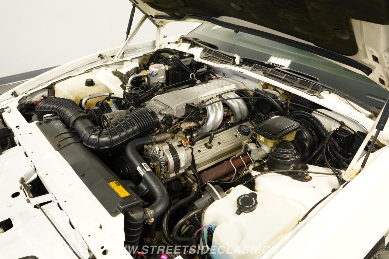1989 Pontiac Firebird Trans Am WS6