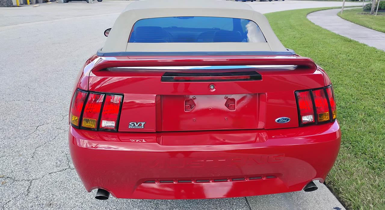 1999 Ford MUSTANG COBRA